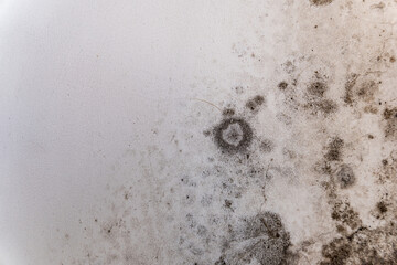 A close-up of a white wall affected by black spots of fungus. Wet and damp wall with black spots of fungus