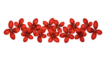 Red Tiny Flowers Isolated On Transparent Background Cutout