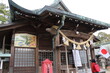 © おたどん - 山口　長府　忌宮神社　大雛人形展