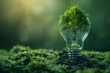 © boyhey - Tree growth in light bulb for saving Ecology energy nature.Green power concept