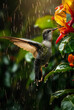 A hummingbird flies near a flower and collects nectar in the rain