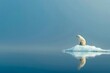 Lone polar bear on a shrinking ice floe in the vast blue ocean, gazing into the distance - Concept of wildlife vulnerability and climate change