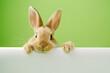 Cute rabbit holding a paper sign on a green background.  Easter holiday. Generative Ai