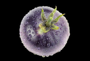 Sticker - Genetically Modified Purple Tomato with Water Drops on Black Background