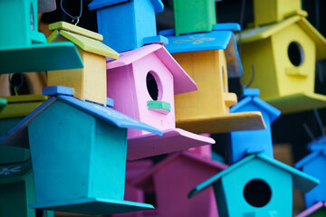 Wall Mural - colorful birdbox