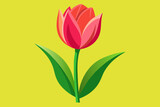 Fototapeta Tulipany - tulip illutration