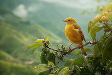 A Yellow Sparrow Sitting On A Green Branch With Green Background