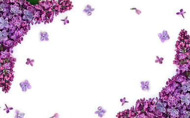 Wall Mural - Violet flowers lilac ( Syringa vulgaris ) on a white background with space for text. Spring flowers. Top view, flat lay