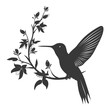 Silhouette Hummingbird fly black color only full body