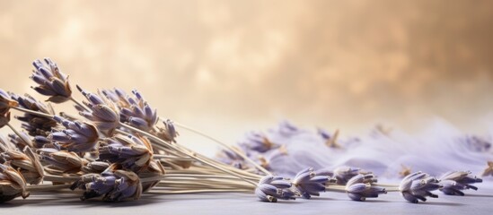 Poster - Elegant Lavender Flowers Arranged on a Rustic Wooden Table in Soft Natural Light
