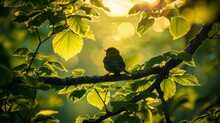  A Small Bird Perched On A Branch Of A Tree With The Sun Shining Through The Leaves Of The Tree Behind It.