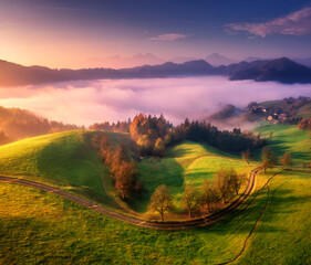 Wall Mural - aerial view of alpine meadows and mountains in clouds at sunrise