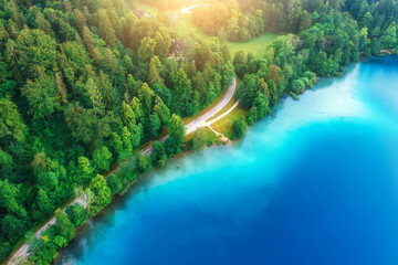 Wall Mural - aerial view of road near blue lake, green forest at sunrise in summer. bled lake, slovenia. travel. 