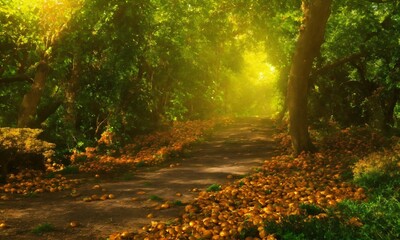 Poster - path in autumn forest