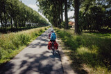 Fototapeta Sawanna - Frau radelt während einer Radreise auf einem Radweg entlang eines Kanals in Flandern, Belgien