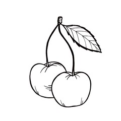 Sketch illustration. Graphic black and white design. isolated two cherries