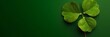 Flat lay of four-leaf clover with green background. Happy St. Patrick's Day. 