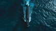 A grand military nuclear submarine dominates the open waters of the ocean.
