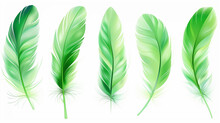 Vector Image Set Of Green Feathers