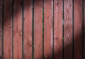 Full frame shot of light turquoise painted wooden wall, abstract background 6