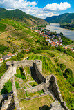 Fototapeta  - View from castle Hinterhaus in Spitz Wachau Austria with Danube river and vineyards