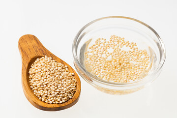 Poster - Chenopodium quinoa - Glass bowl with quinoa seeds mixed with water