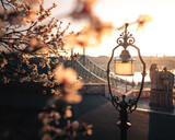 Fototapeta Uliczki - Beautiful Liberty Bridge with almond blossom in Budapest, Hungary