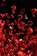 © Fotograf - Red question marks flying in the air, suitable for educational concepts