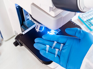 Wall Mural - Small PCR tubes in the hand of a scientist against a background of blue light near a microscope.