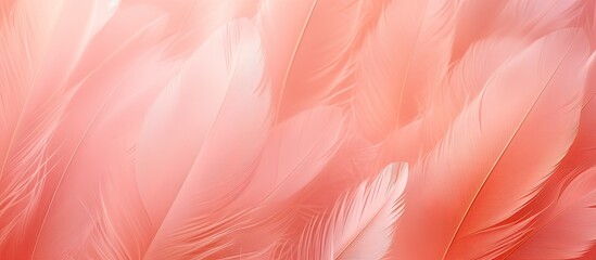 Poster - A macro photograph showcasing the intricate pattern of pink and white feathers on a white background, revealing tints and shades of magenta, peach, and carmine, resembling delicate petals of a plant