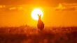 Photorealistic ai artwork of a kangaroo silhouetted against the setting sun. Generative ai.