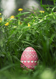 Fototapeta  - A single well hidden pink Easter Egg with intricate carved design. Focus on Easter Egg found hidden in dense grass for Easter Egg hunt.