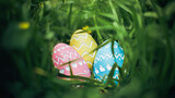 Fototapeta  - Three well hidden bright and vibrant Easter Eggs with intricate carved designs. Focus on Easter Eggs found hidden in dense grass for Easter Egg hunt.