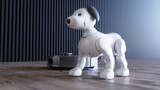 Fototapeta Perspektywa 3d - small funny robotic smart dog and vacuum cleaner robot. 3d rendering.