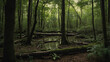 Earth Day Landscape: Forest Ambiance with Trees