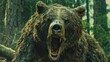 © Matthew - big and angry grizzly bear with big teeth, scene in the movie