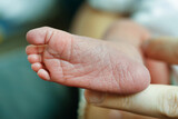 Fototapeta Nowy Jork - View of newborn baby foot