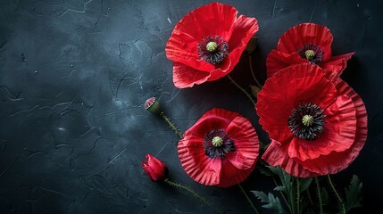 Red poppies on black background. Remembrance Day, Armistice Day symbol