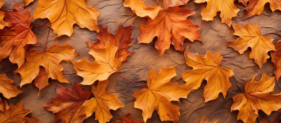 Poster - A cluster of deciduous maple leaves is displayed on a wall, creating a natural landscape pattern. The leaves add a touch of beauty to the wood backdrop