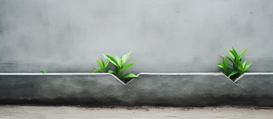 Sticker - Two plants are emerging from a concrete wall, adding a touch of green against the harsh urban landscape