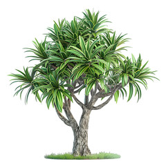 Wall Mural - Pineapple tree on isolated background