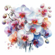 Piękne kwiaty orchidei na białym tle, dekoracja generative ai