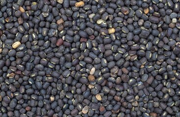 Wall Mural - Black Gram or Urad Bean Dal Background with Copy Space, Also Known as Urid Bean, Kalo Dal or Black Matpe in Horizontal Orientation