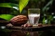 
Close-up image of a freshly harvested cocoa pod placed beside a glass of frothy white water, inviting viewers to savor the essence of Cacao Water.