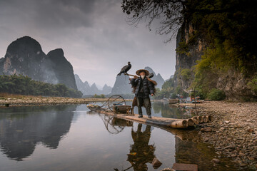 Wall Mural - Chinese man fishing with cormorants birds, Yangshuo, Guangxi region