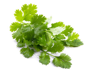 Sticker - Coriander leaf isolated on a white background.