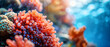 A close up of a coral with many corals on its sides an
