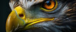 A close up of an eagles face with a yellow eye
