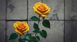 Rugged concrete walls with artistic abstract yellow roses grafitti drawings from Generative AI