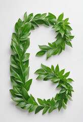 floral layout number 2 made from fresh green leaves isolated on white background